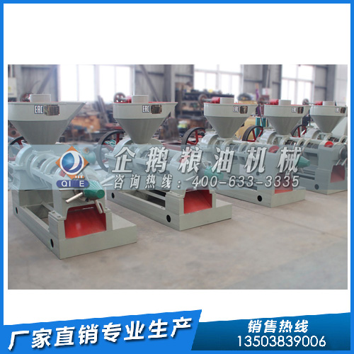 1-2112031G62S13.jpg