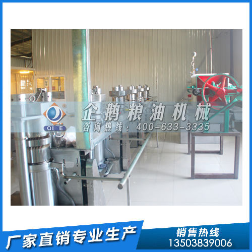 1-22031G5404X33.jpg